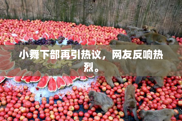 小舞下部再引热议，网友反响热烈。