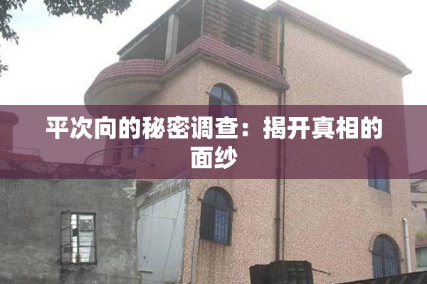 平次向的秘密调查：揭开真相的面纱
