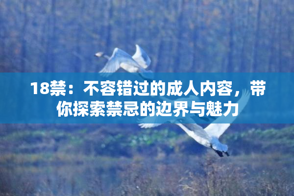 18禁：不容错过的成人内容，带你探索禁忌的边界与魅力