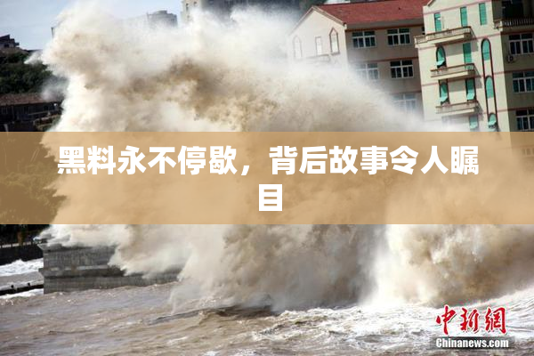 黑料永不停歇，背后故事令人瞩目