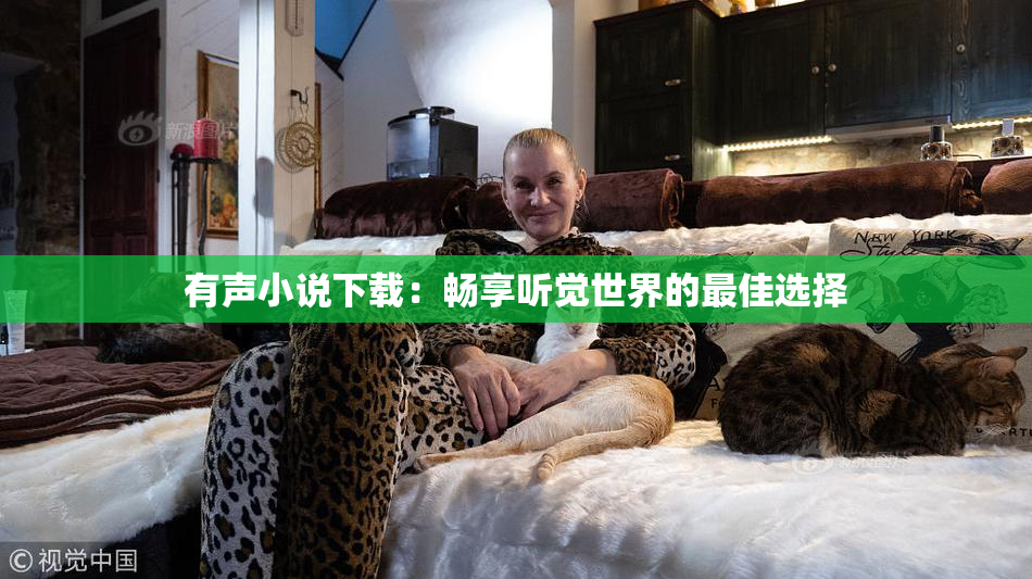 有声小说下载：畅享听觉世界的最佳选择