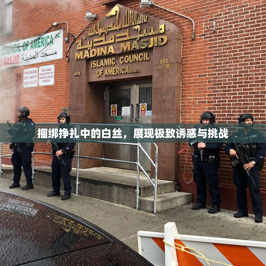 捆绑挣扎中的白丝，展现极致诱惑与挑战