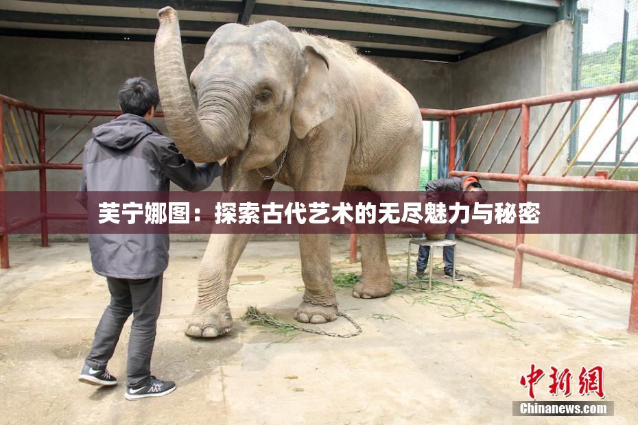 芙宁娜图：探索古代艺术的无尽魅力与秘密