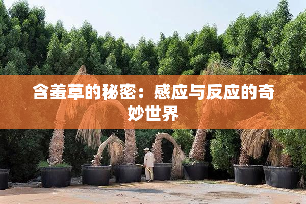 含羞草的秘密：感应与反应的奇妙世界
