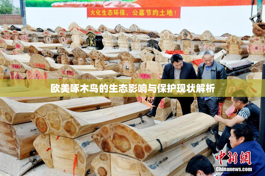 欧美啄木鸟的生态影响与保护现状解析