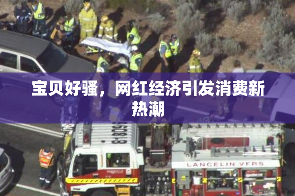 宝贝好骚，网红经济引发消费新热潮