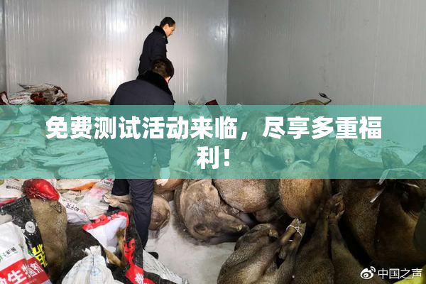免费测试活动来临，尽享多重福利！