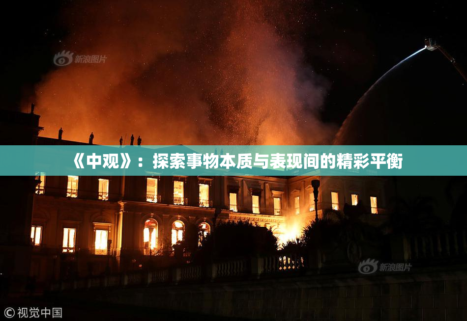 《中观》：探索事物本质与表现间的精彩平衡