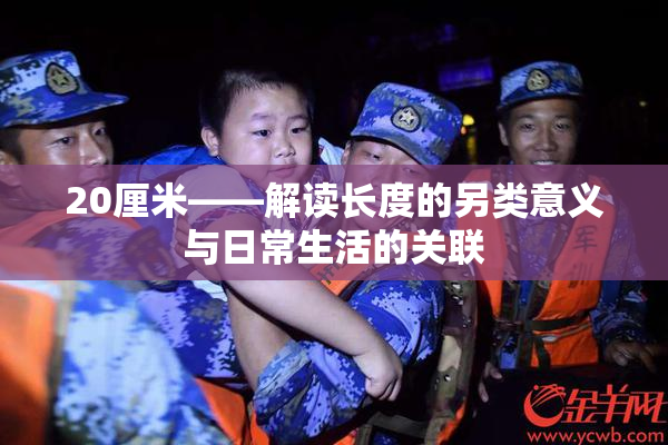20厘米——解读长度的另类意义与日常生活的关联