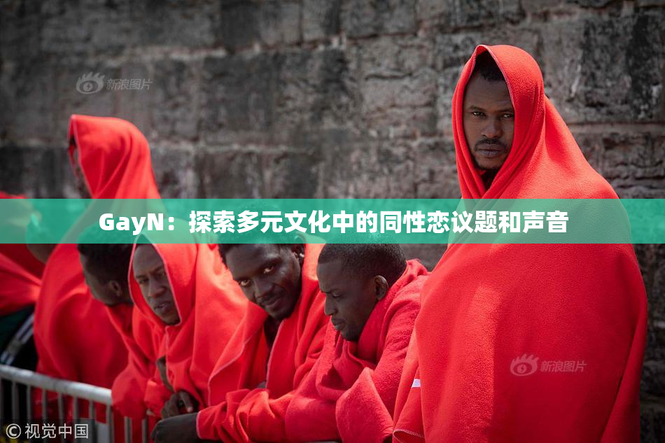 GayN：探索多元文化中的同性恋议题和声音