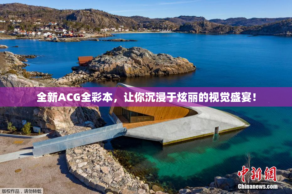 全新ACG全彩本，让你沉浸于炫丽的视觉盛宴！