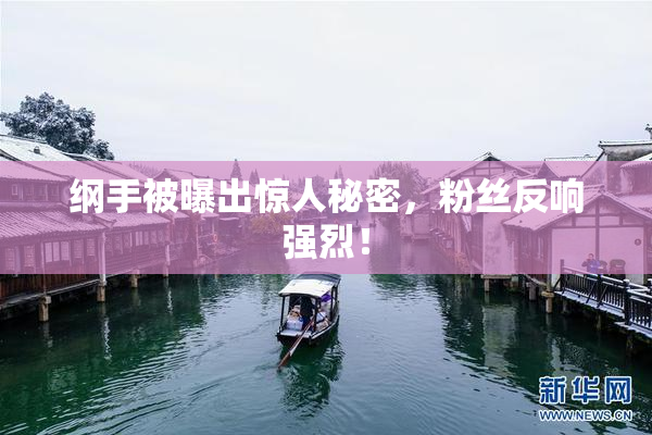 纲手被曝出惊人秘密，粉丝反响强烈！
