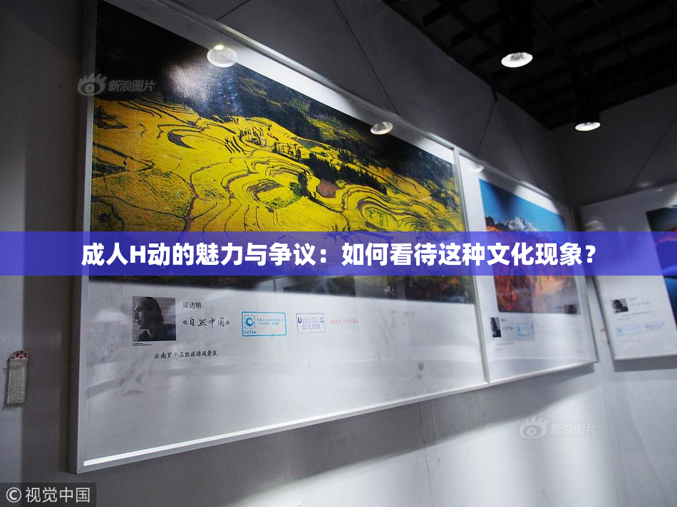 成人H动的魅力与争议：如何看待这种文化现象？
