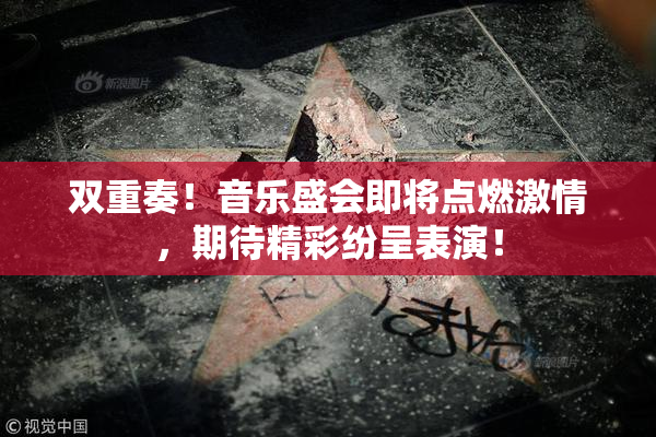 双重奏！音乐盛会即将点燃激情，期待精彩纷呈表演！