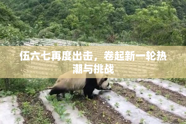 伍六七再度出击，卷起新一轮热潮与挑战
