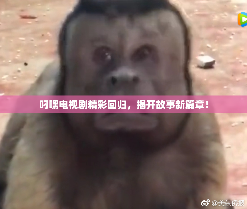 叼嘿电视剧精彩回归，揭开故事新篇章！