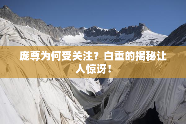 庞尊为何受关注？白重的揭秘让人惊讶！