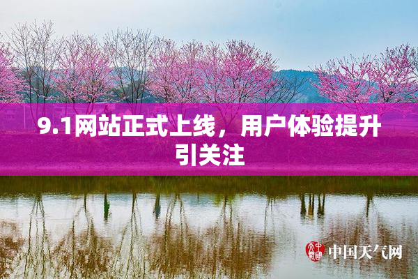 9.1网站正式上线，用户体验提升引关注