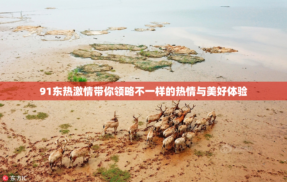 91东热激情带你领略不一样的热情与美好体验