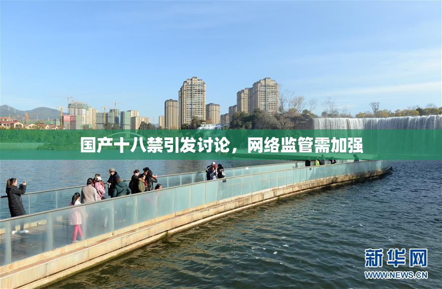国产十八禁引发讨论，网络监管需加强
