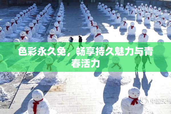 色彩永久免，畅享持久魅力与青春活力