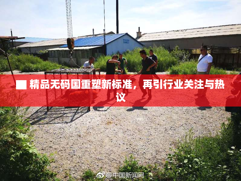 ▇ 精品无码国重塑新标准，再引行业关注与热议