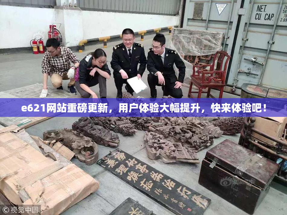 e621网站重磅更新，用户体验大幅提升，快来体验吧！