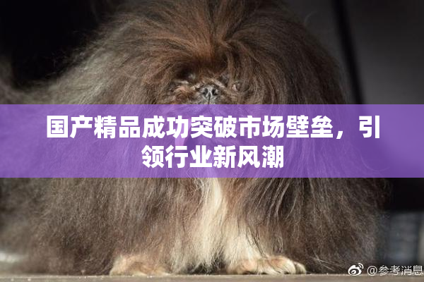 国产精品成功突破市场壁垒，引领行业新风潮