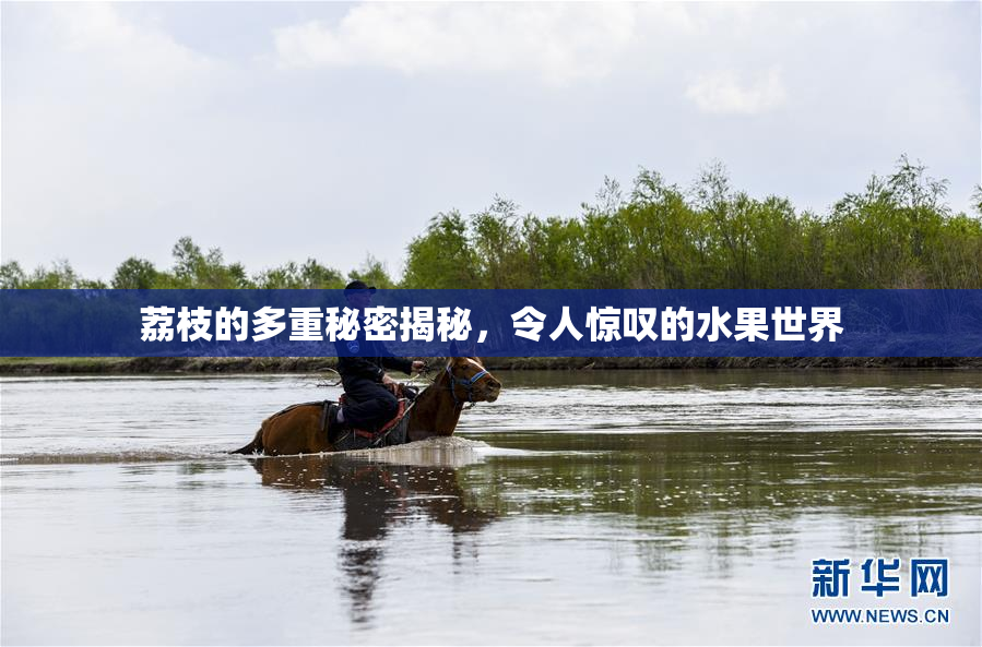 荔枝的多重秘密揭秘，令人惊叹的水果世界