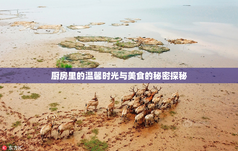 厨房里的温馨时光与美食的秘密探秘