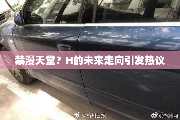 禁漫天堂？H的未来走向引发热议