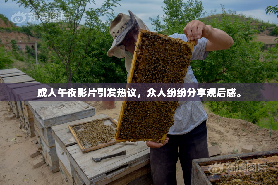 成人午夜影片引发热议，众人纷纷分享观后感。