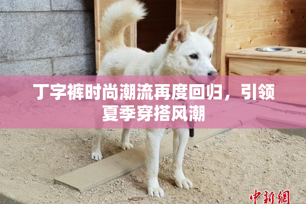 丁字裤时尚潮流再度回归，引领夏季穿搭风潮