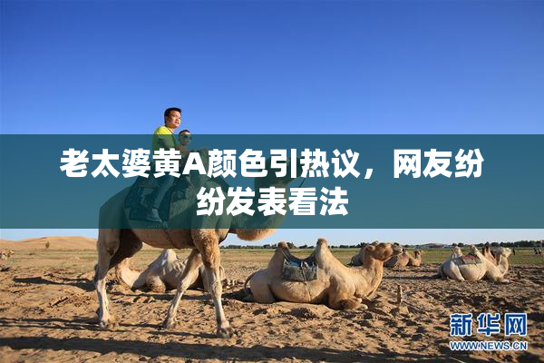 老太婆黄A颜色引热议，网友纷纷发表看法