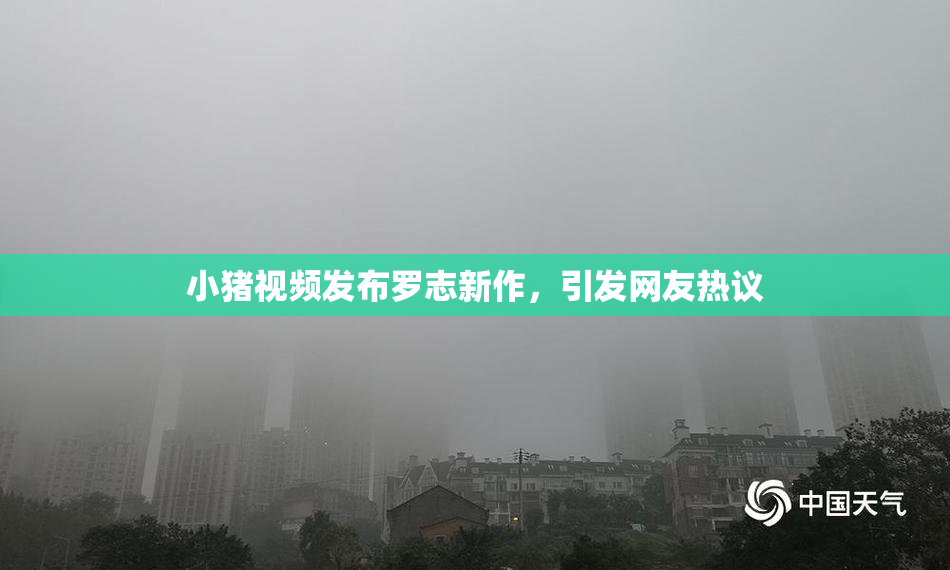 小猪视频发布罗志新作，引发网友热议