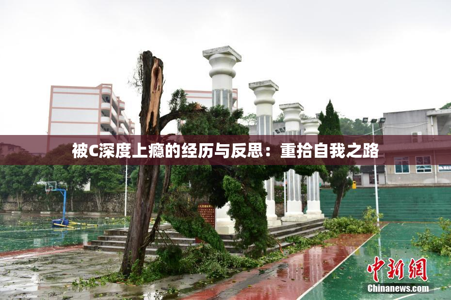 被C深度上瘾的经历与反思：重拾自我之路