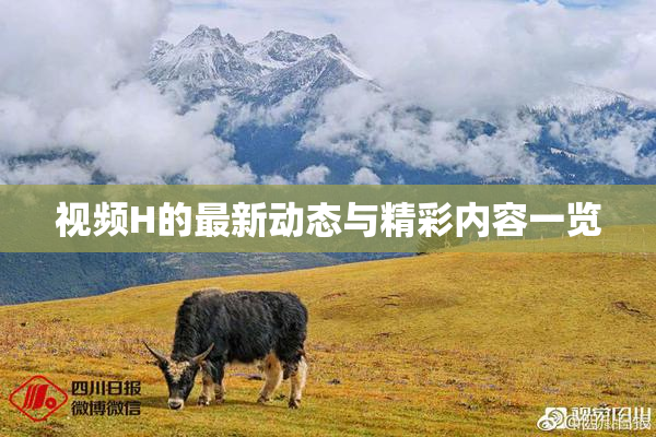 视频H的最新动态与精彩内容一览
