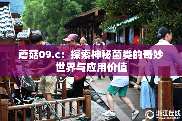 蘑菇09.c：探索神秘菌类的奇妙世界与应用价值