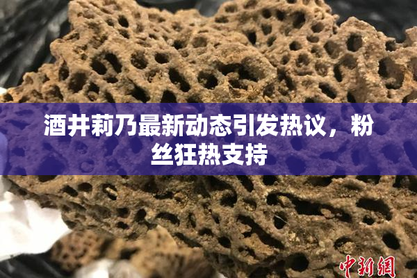 酒井莉乃最新动态引发热议，粉丝狂热支持