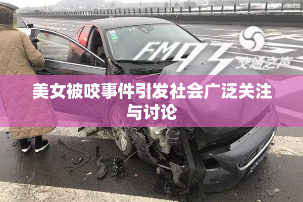 美女被咬事件引发社会广泛关注与讨论