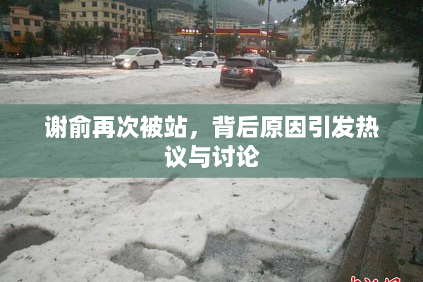 谢俞再次被站，背后原因引发热议与讨论