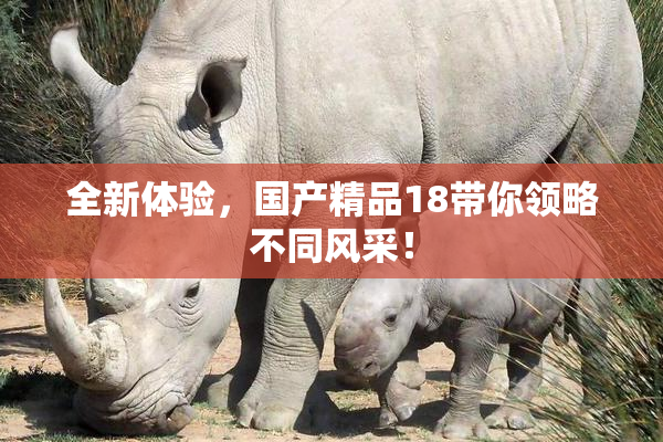 全新体验，国产精品18带你领略不同风采！