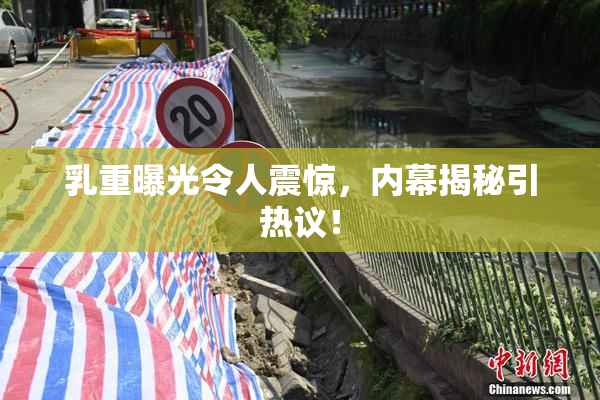 乳重曝光令人震惊，内幕揭秘引热议！