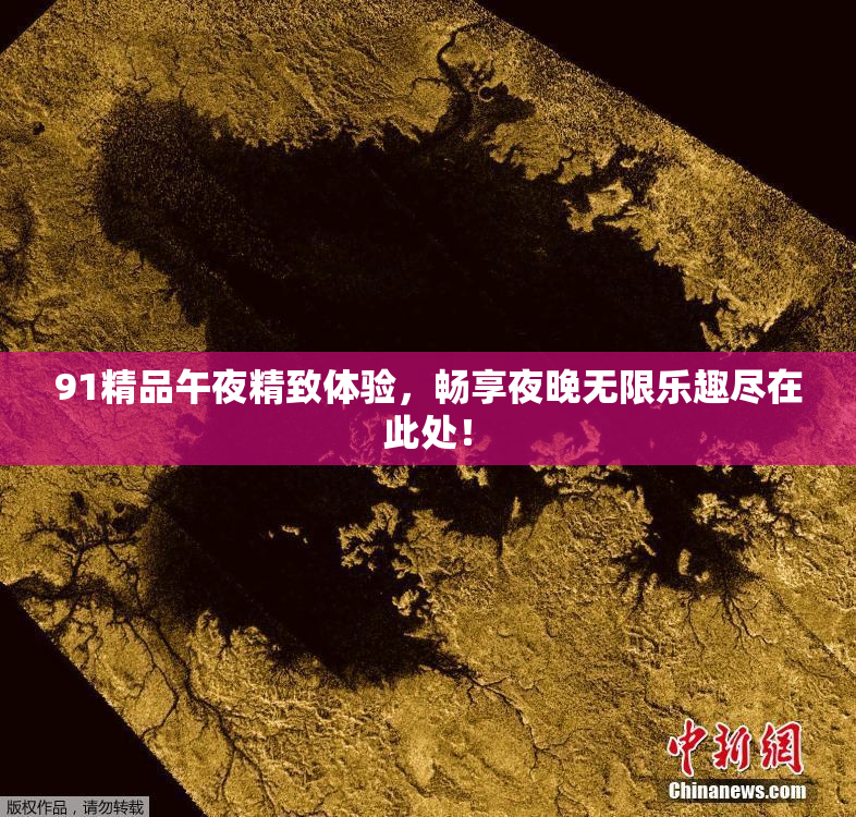 91精品午夜精致体验，畅享夜晚无限乐趣尽在此处！