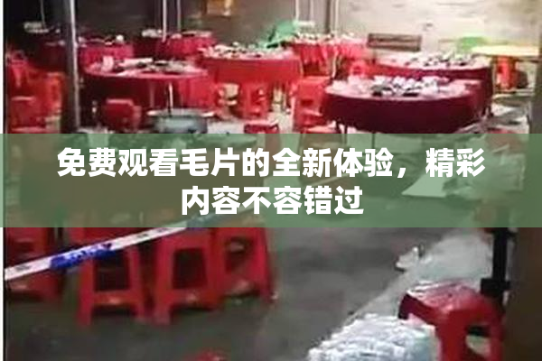 免费观看毛片的全新体验，精彩内容不容错过