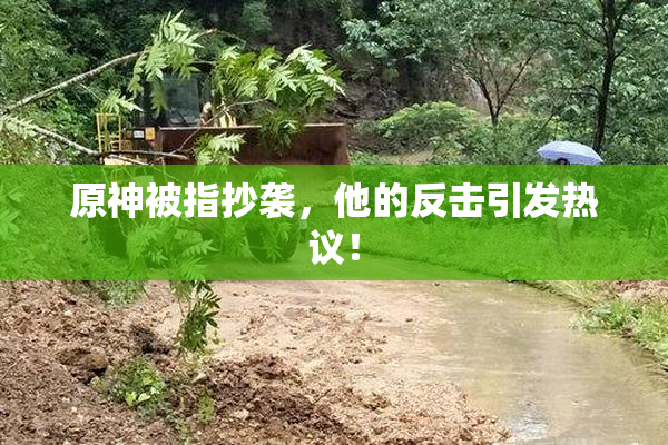 原神被指抄袭，他的反击引发热议！