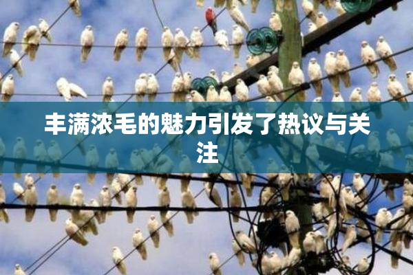 丰满浓毛的魅力引发了热议与关注