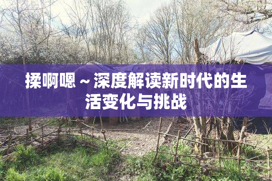 揉啊嗯～深度解读新时代的生活变化与挑战