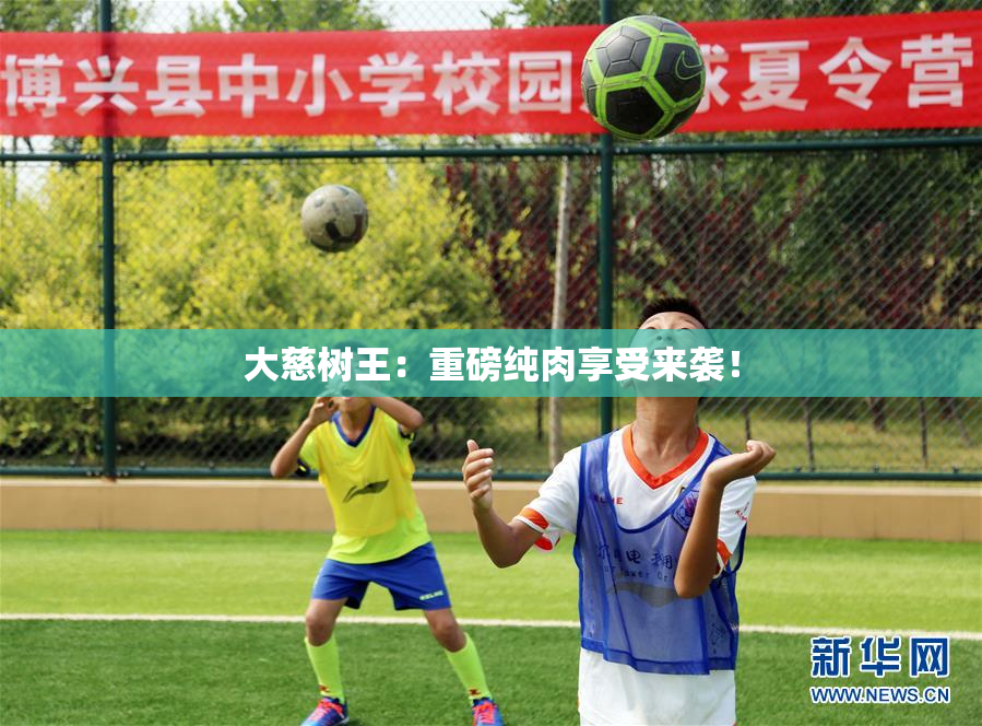 大慈树王：重磅纯肉享受来袭！