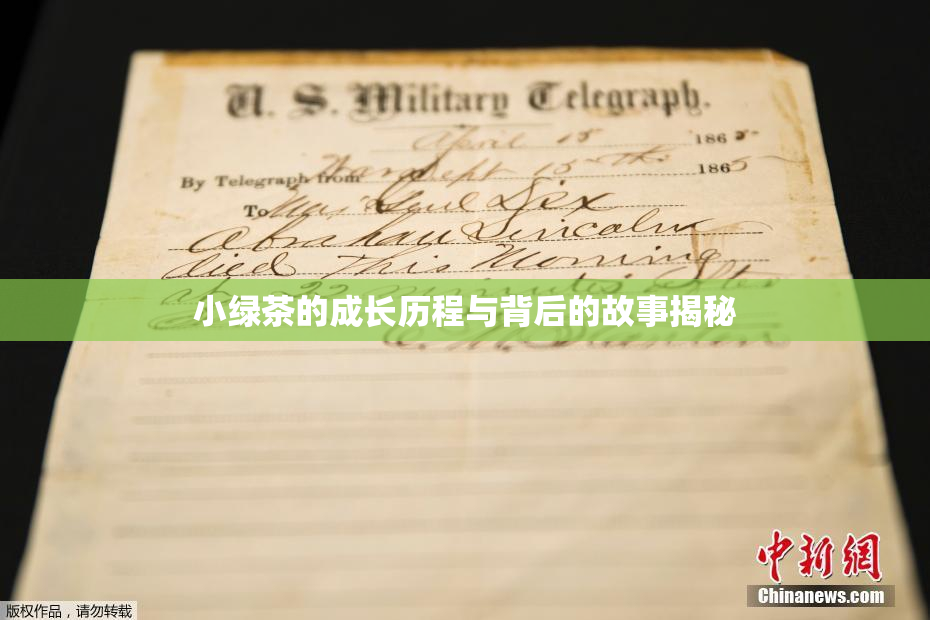 小绿茶的成长历程与背后的故事揭秘